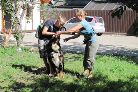 Дрессировка собак в Купчино