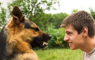 Различие характера и темперамента у хозяина и у его собаки