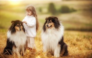 лучшие породы собак для семей с детьми